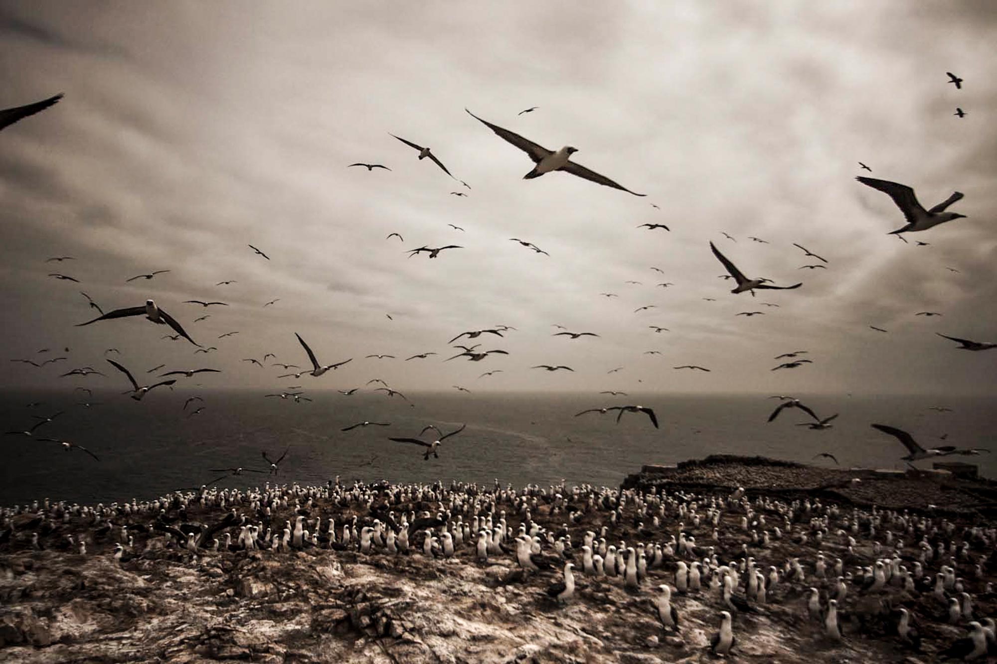 Ernesto Benavides Photography Lima Peru Wanu