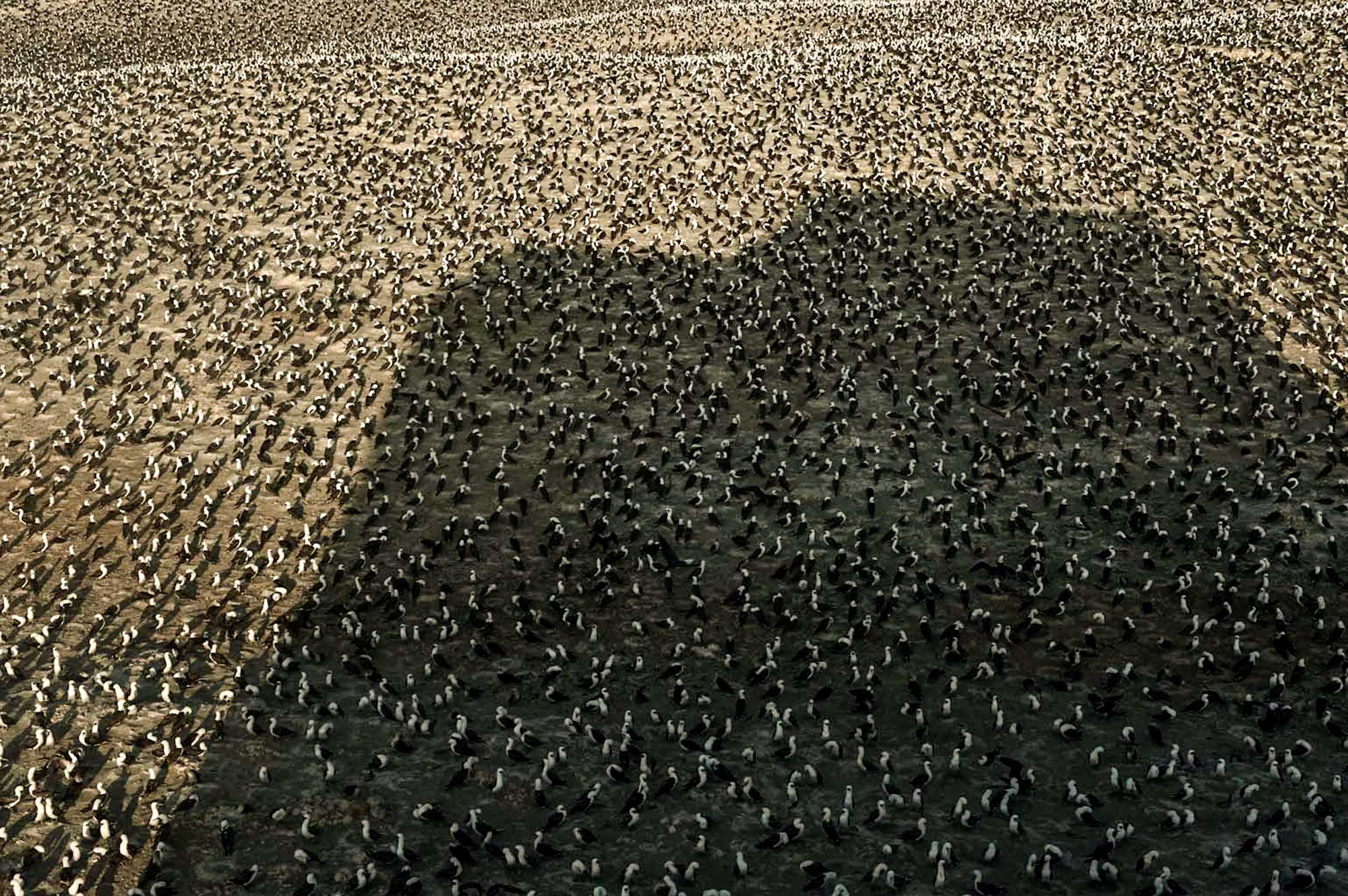 Ernesto Benavides Photography Lima Peru Wanu